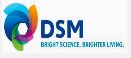DSM logo